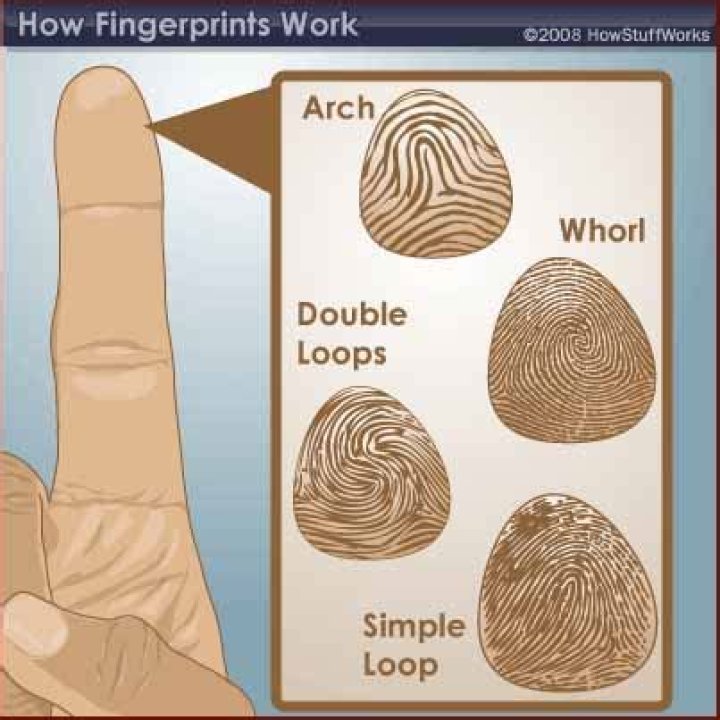 Can fingerprints be found on skin