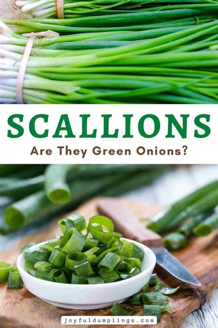 Can green onions be used in place of scallions