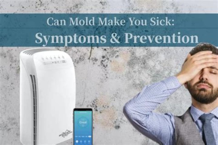 can mildew make you sick