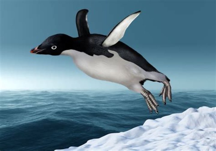 can penguins fly