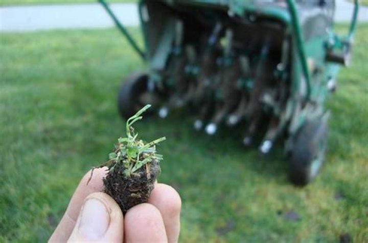 can you aerate in the summer
