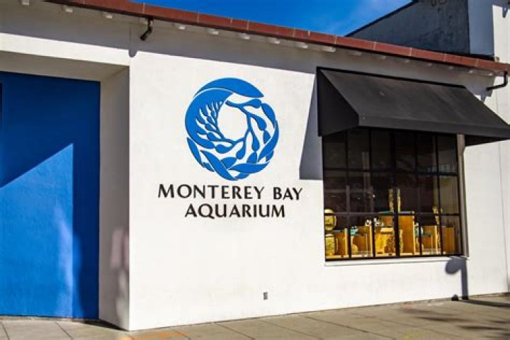 Can you bring food into Monterey Bay Aquarium