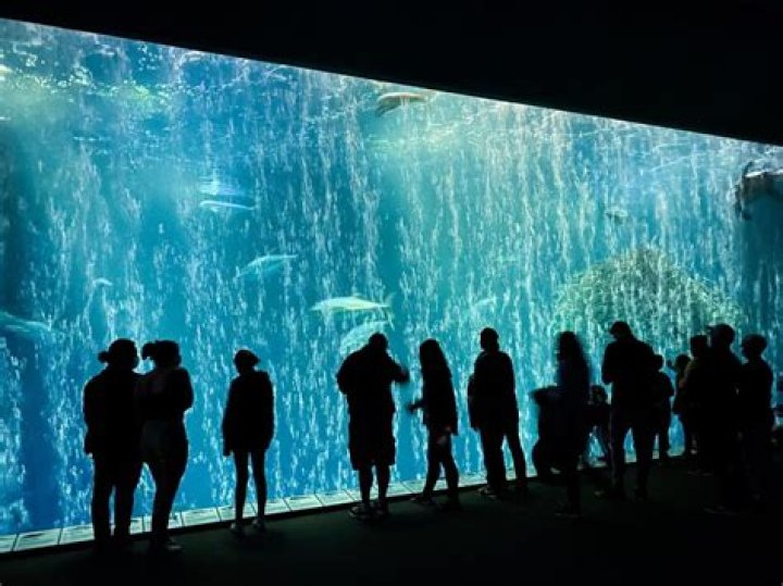 can you bring water.into aquarium monterey