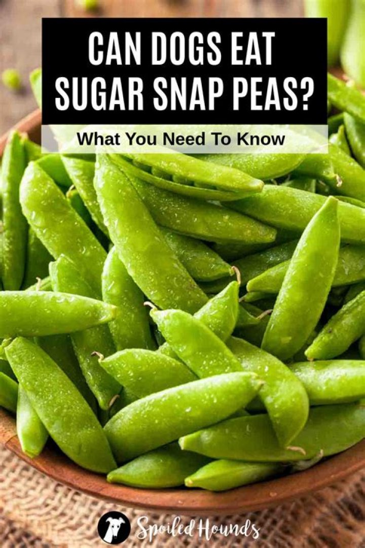 Can you can sugar snap peas