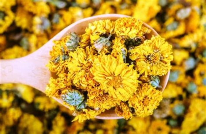 Can you eat chrysanthemum leaves