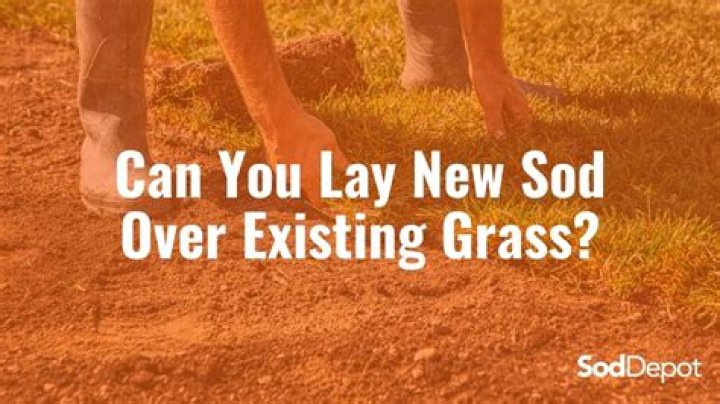 Can you lay sod on existing grass