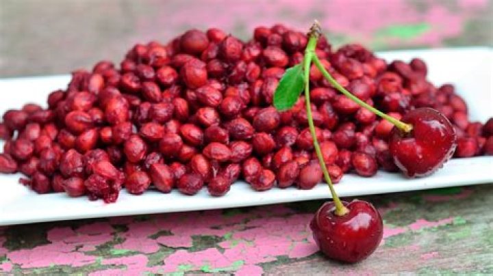 can you plant cherry pits