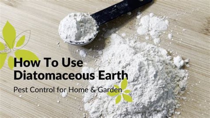 Can you put diatomaceous earth on plants
