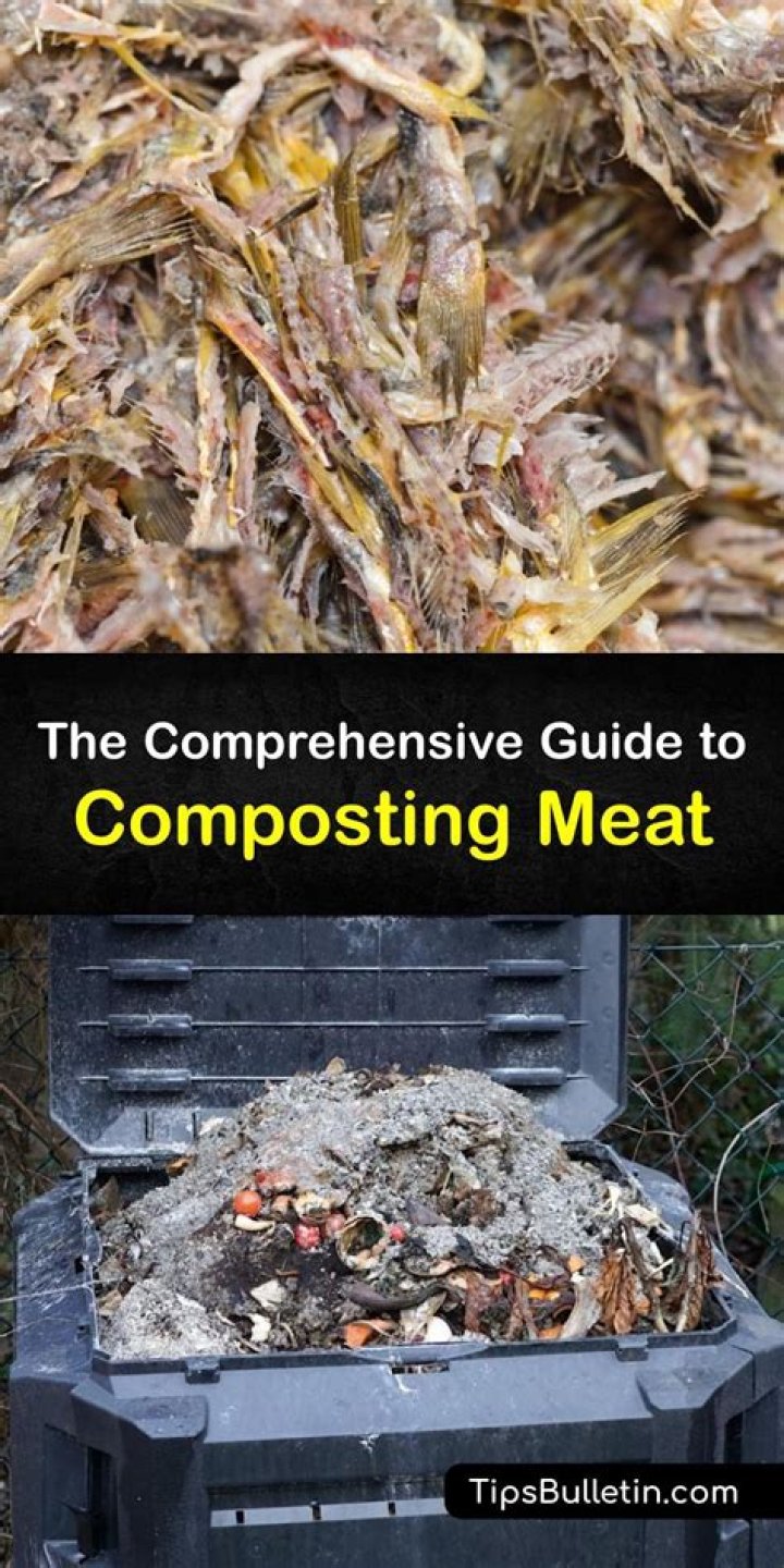 can you put meat in compost