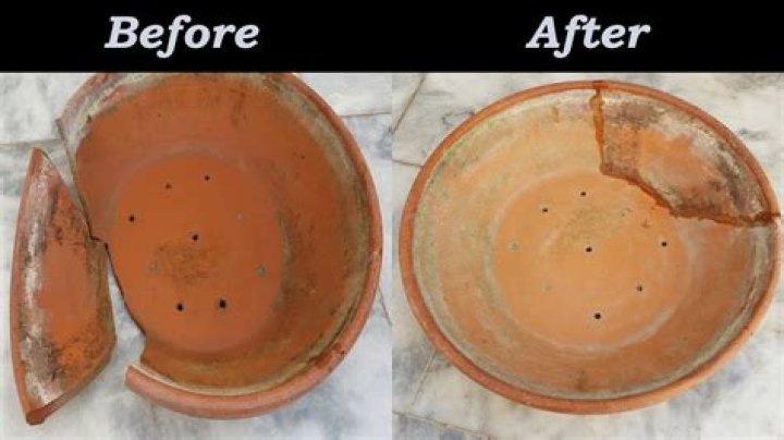 Can you repair terracotta