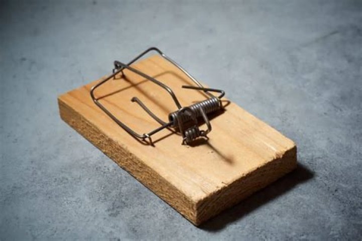 can you reuse mouse traps