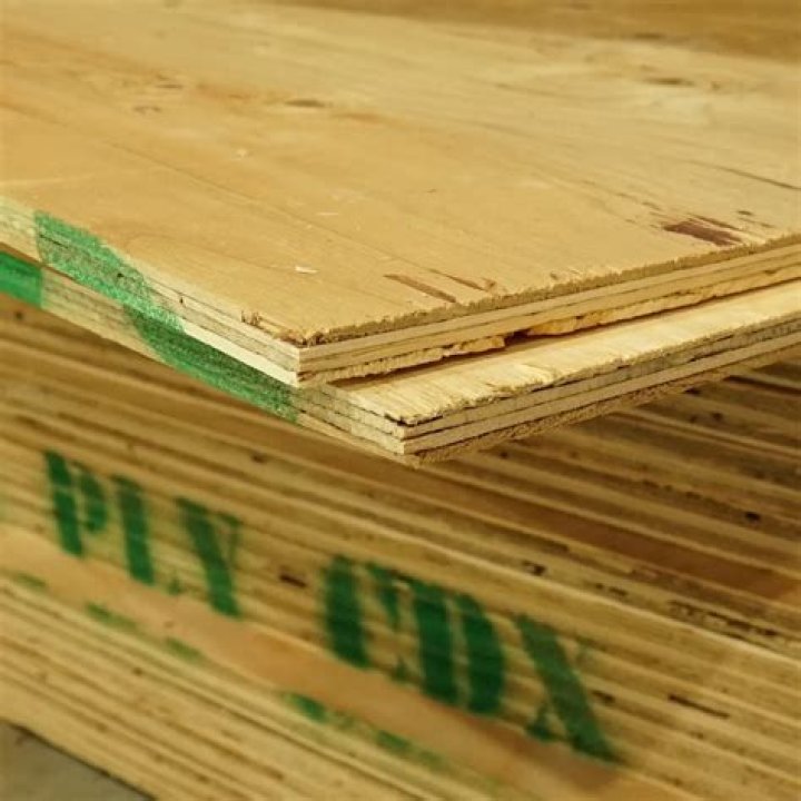 cdx plywood