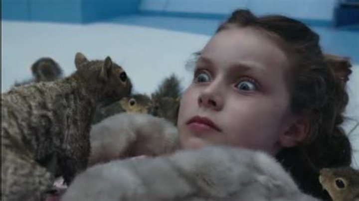 charlie and the chocolate factory squirrels