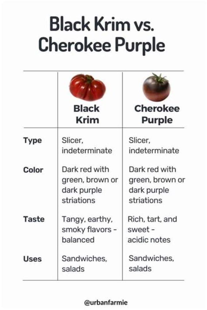 cherokee purple tomato taste