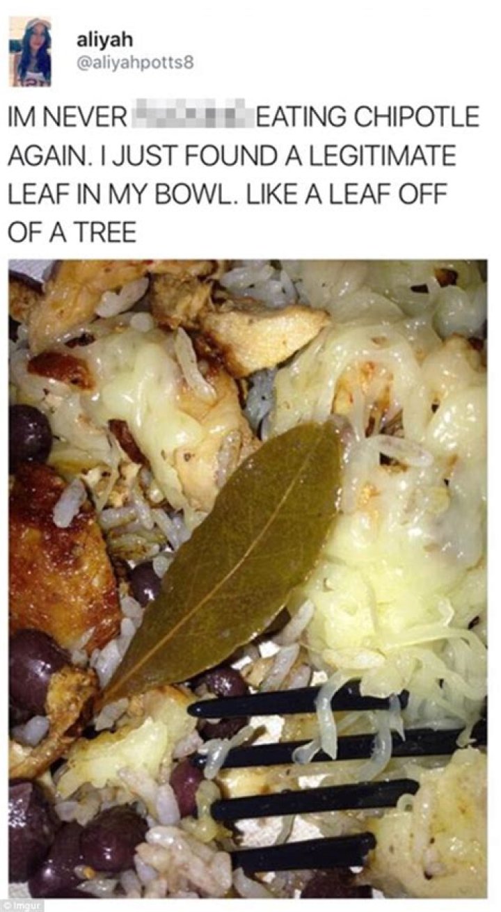 chipotle bay leaf