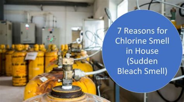 chlorine smell in house