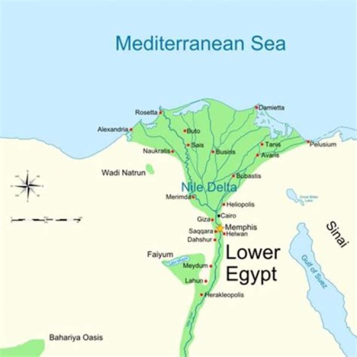 city of tanis