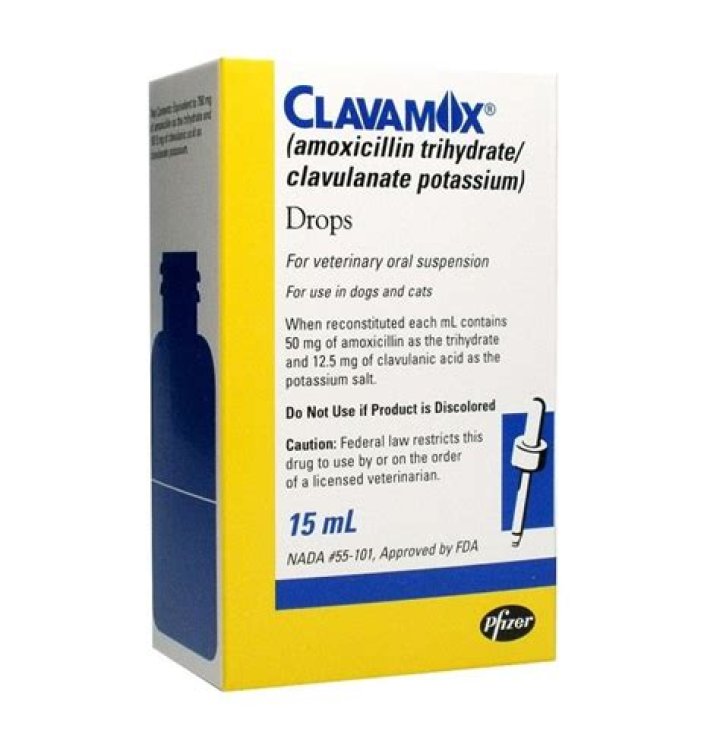 clavamox for cats