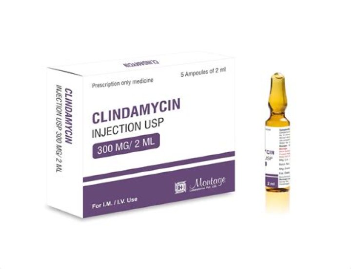 clindamycin and peeing