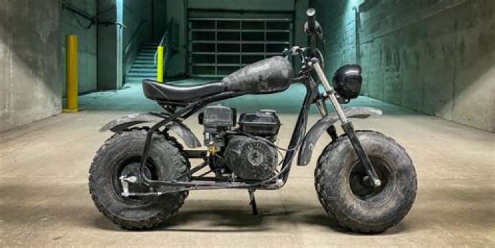 coleman 200cc mini bike
