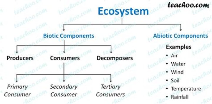 components of ecosystem