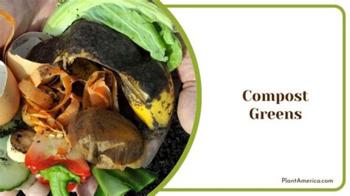 compost smells like poop