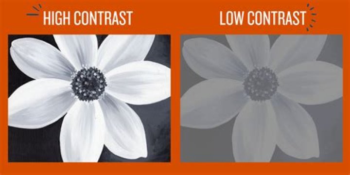 contrast in art