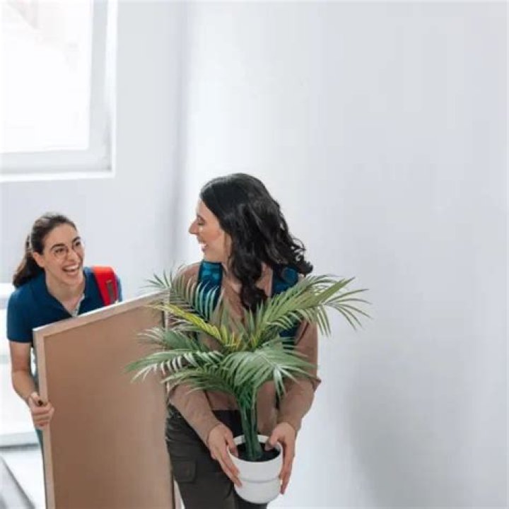 craigslist roommate finder