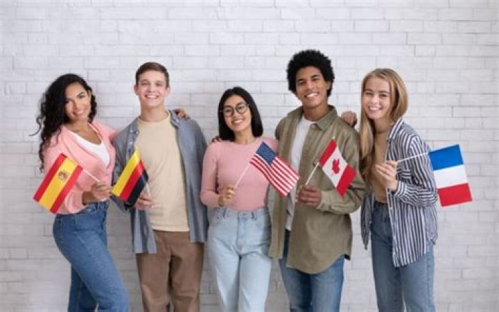 ¿Cuáles son los niveles de idiomas