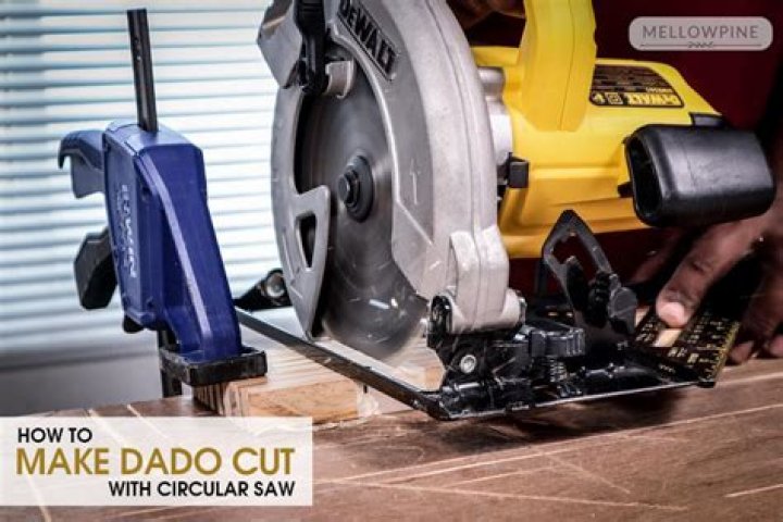 dado cut with circular saw