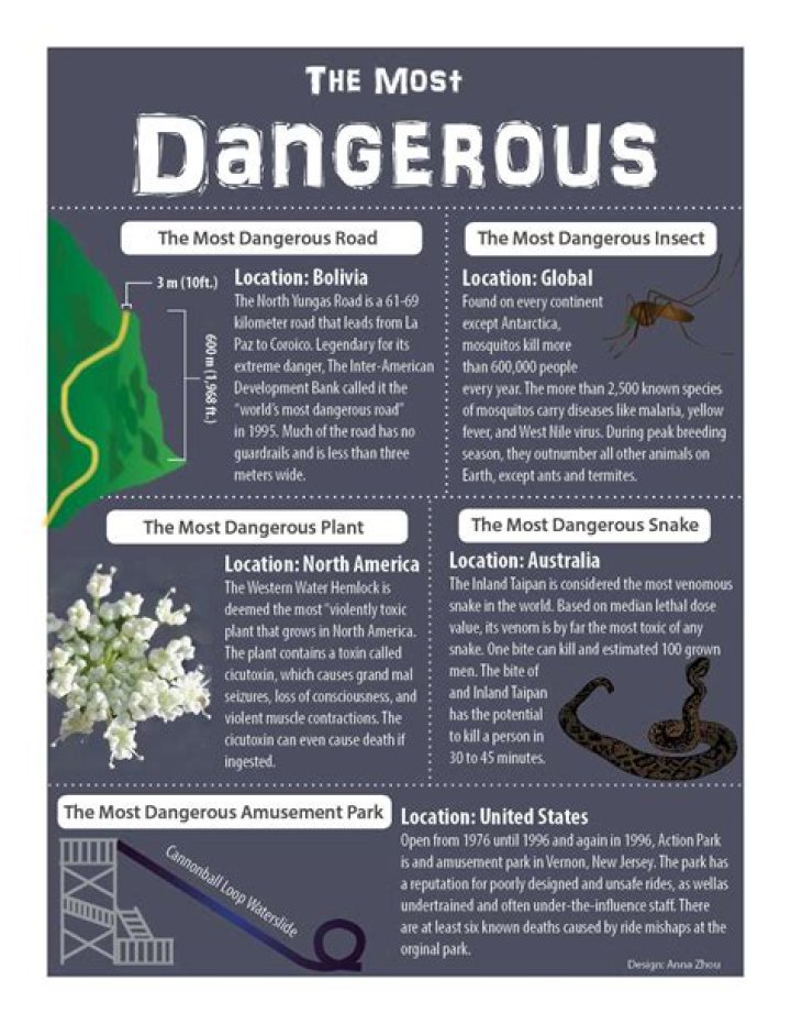 dangerous things to do