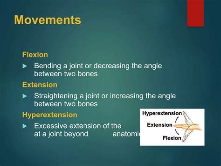 decreasing the angle between bones is called