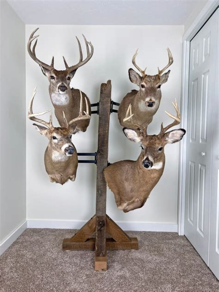 deer mount