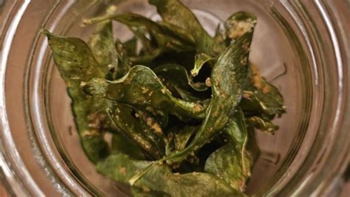 dehydrated snap peas