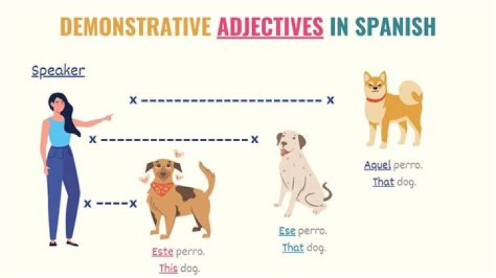 demonstrative adjectives spanish