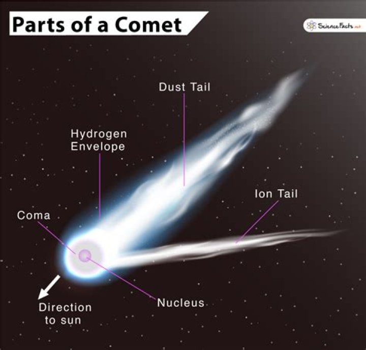 describe the parts of a comet