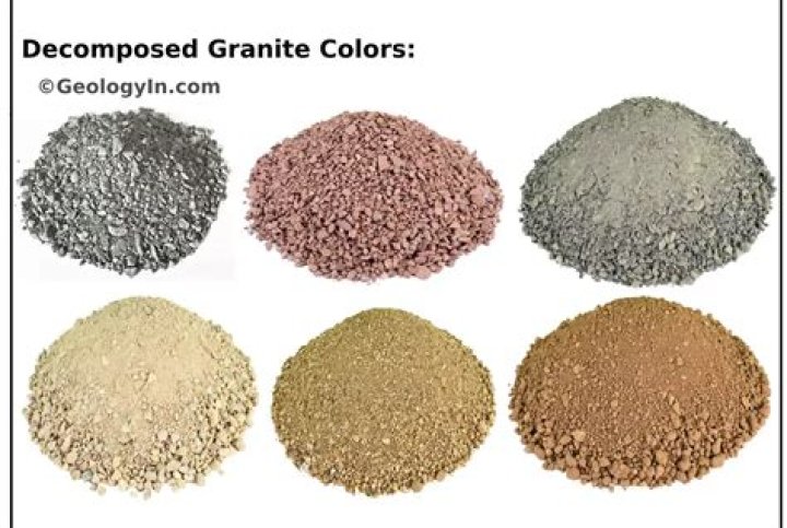dg colors