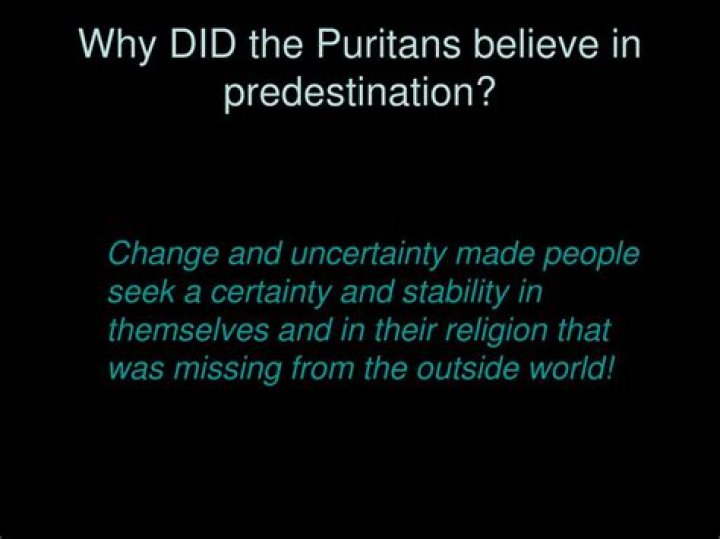 did puritans believe in predestination