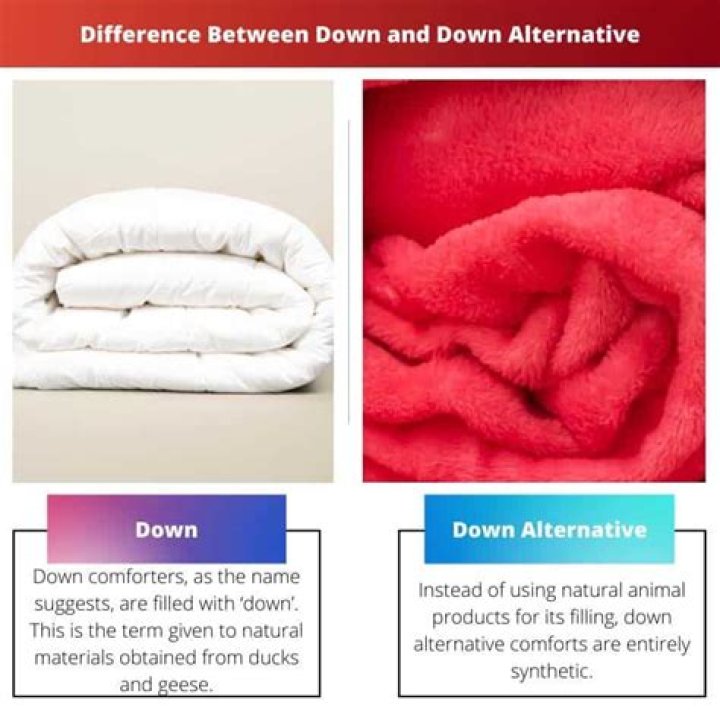 difference between down and down alternative