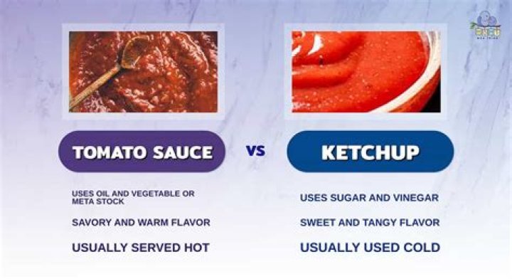 difference between tomato sauce and ketchup