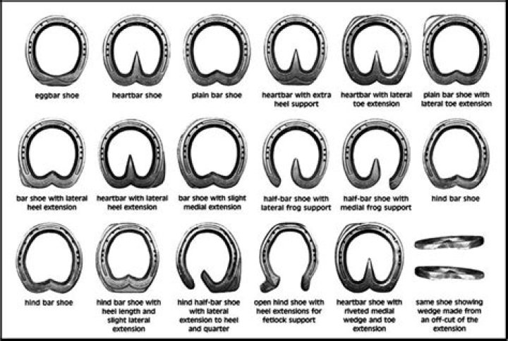 different types of horseshoes