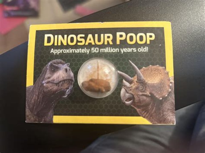 dinosaur poop