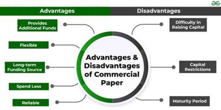 disadvantages of commercial components in project management