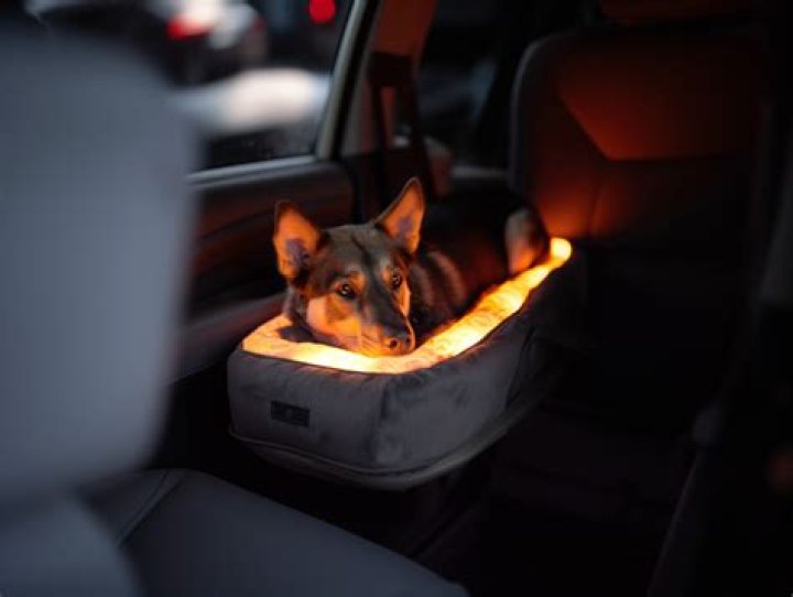 diy dog console car seat