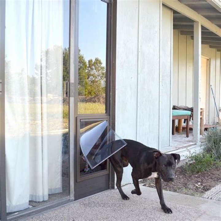 diy dog door for sliding glass door
