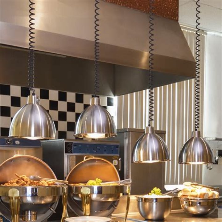 Do cats like heat lamps