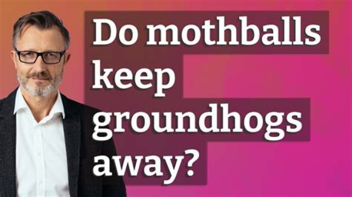 do mothballs keep skunks away