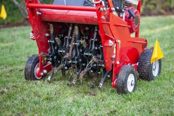 Do Shoe Lawn aerators work