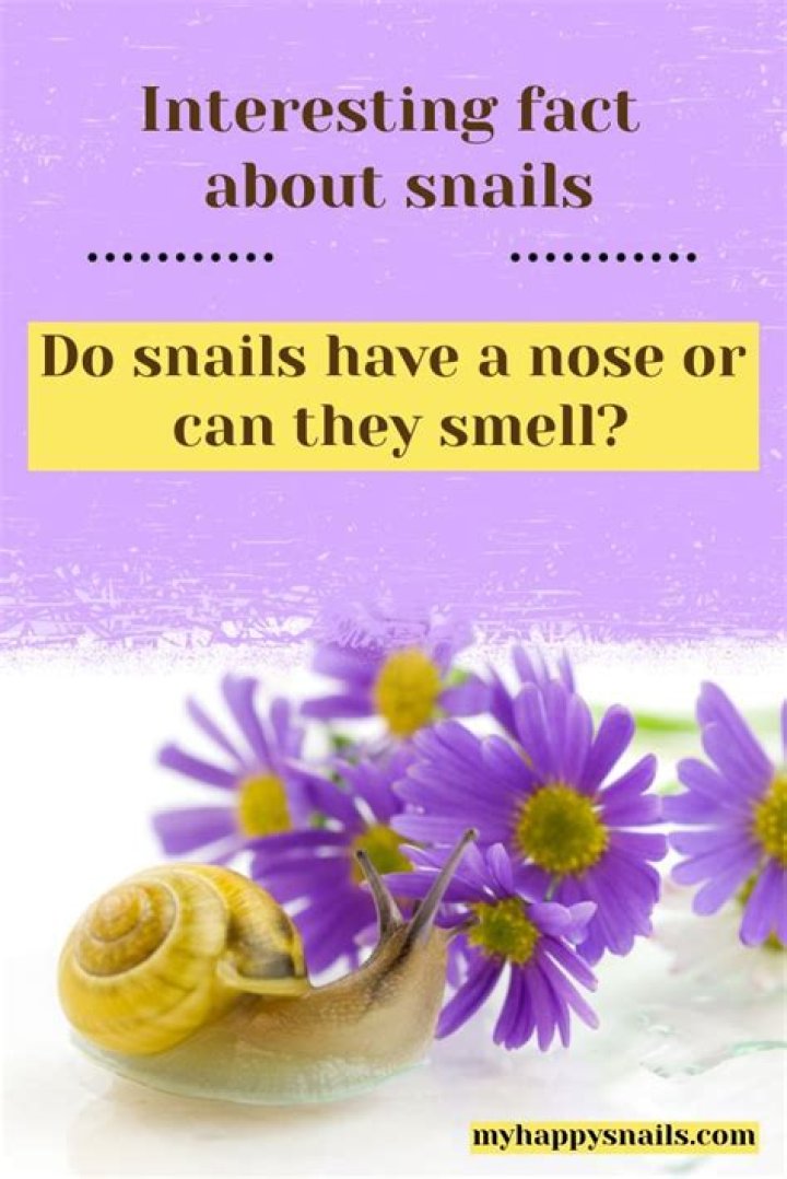 Do snails smell bad?