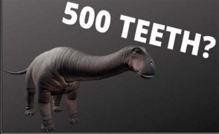 do you know what dinosaur has 500 teeth